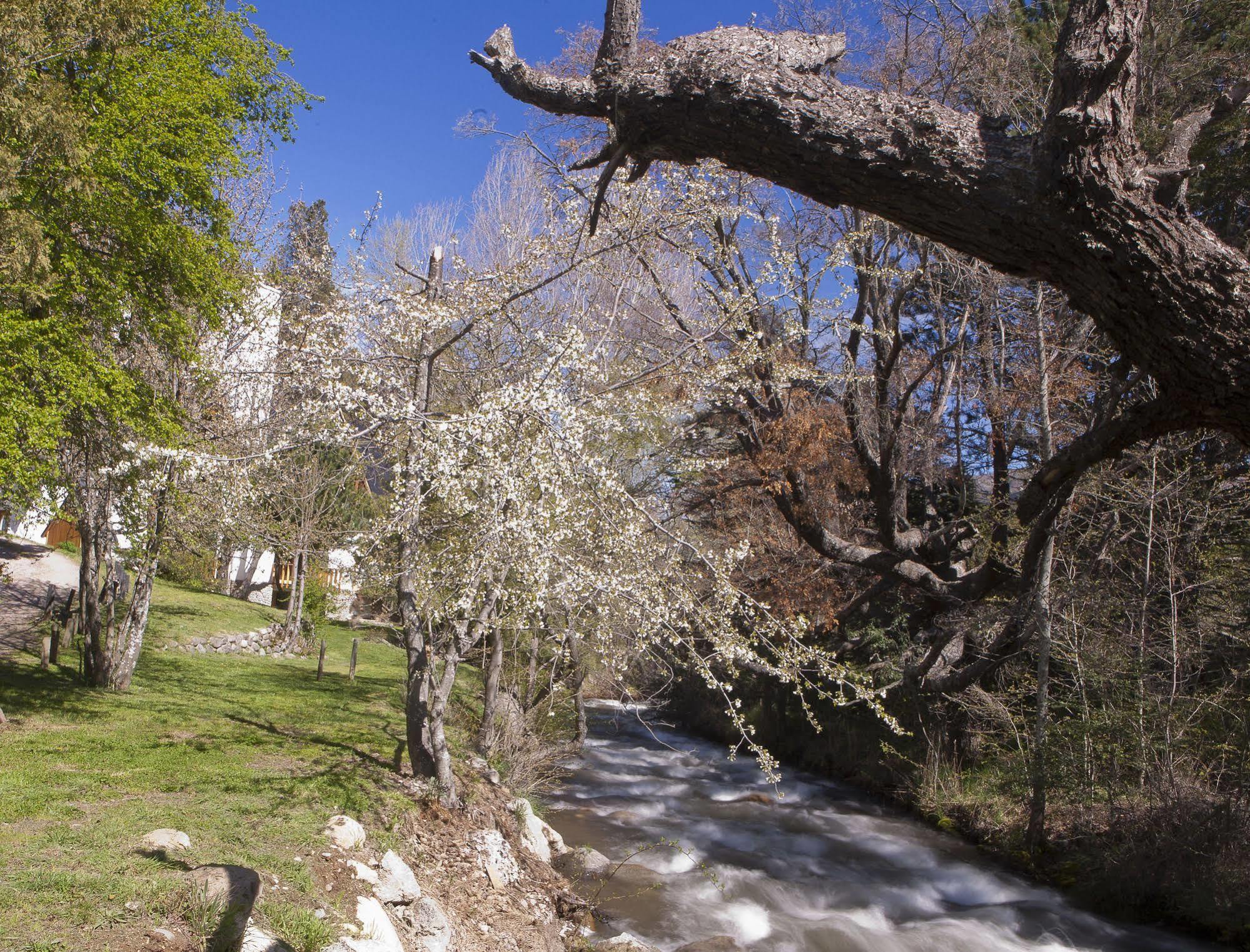 Cabanas Rucaleufu San Martin de los Andes Ngoại thất bức ảnh