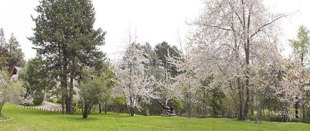 Cabanas Rucaleufu San Martin de los Andes Ngoại thất bức ảnh